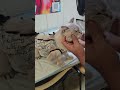 С Колей Проведали Пусика!   #самвеладамянновоевидео #самвеладамян  #савелийад