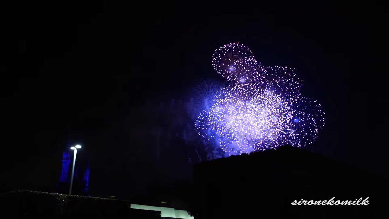 Tokyo Disneyland New Year S Eve Count Down Fireworks Show 14 15 東京 ディズニーランドニューイヤーズ イヴ カウントダウン花火 Youtube