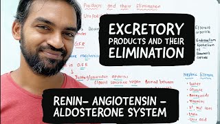 Excretory products and their elimination | Renin Angiotensin Aldosterone system