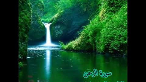 القارئ الصغير  احمد سعود في سورة الرحمن | انصحك بالاستماع