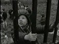 RTÉ documentary about Sheriff Street in the 1960s.