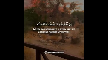 وَالَّذِينَ تَدْعُونَ مِن دُونِهِ مَا يَمْلِكُونَ مِن قِطْمِيرٍ ....... محمد اللحيدان ↖️ تلاوه جميله