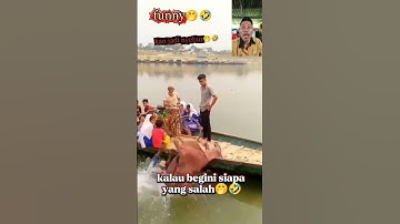 kalau begini siapa yang salah 🤣 #viral #lucu #funny #ngakak #shorts #shortsfeed #shortsvideo #memes