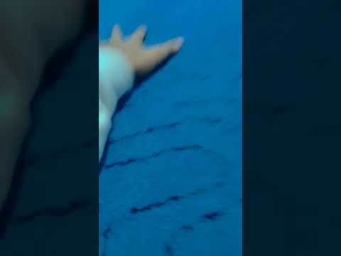 ١٠ نوفمبر ٢٠٢٥