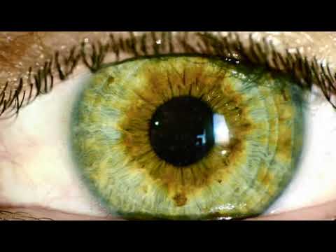 GET GREEN EYES IN 10 MINUTES AUDIO AFFIRMATIONS BOOSTER RESULTS NOW CHANGE YOUR EYE COLOR GET GREEN EYES IN 10 MINUTES AUDIO AFFIRMATIONS BOOSTER RESULTS NOW CHANGE YOUR EYE COLOR