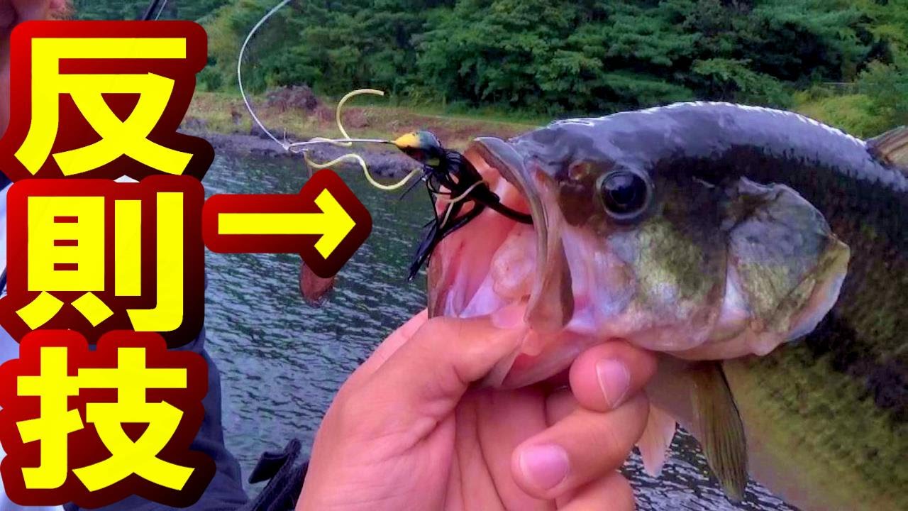 バス釣り 反則技すれば釣れる 第1回特命ガチャ釣行 Youtube