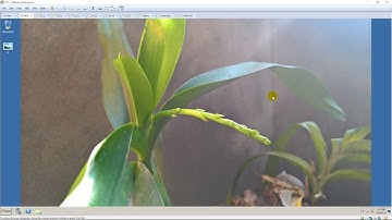 Customize the Background in Windows Server 2008 R2