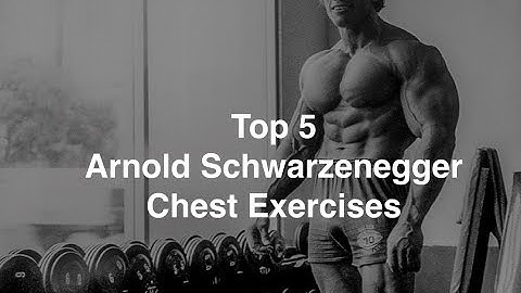 93  Arnold chest workout videos free download 