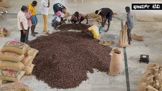ಬೆಳೆ ಸರ್ವನಾಶವಾದರು ಮಾರುಕಟ್ಟೆ ಅನುಭವ ನೀಡಿದ ಜಾಯಿಕಾಯಿ  ಶ್ರೀ ಉದಯ ಜೋಶಿ | Nutmeg Marketing | Economics