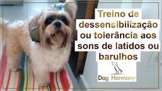 Cães reativos: Treino de dessensibilização aos sons de latidos ou barulhos  Dog Harmony