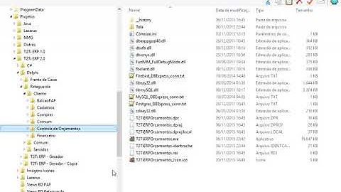 T2Ti ERP 2 0   Delphi   Orçamentos   04 Organizacao das Pastas