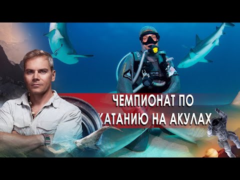 Чемпионат по катанию на акулах. НИИ РЕН ТВ. (11.03.2021).
