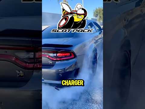 Dodge charger Scat