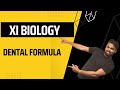 Dental formula || Teeth part-2 || Human Physiology | Neet