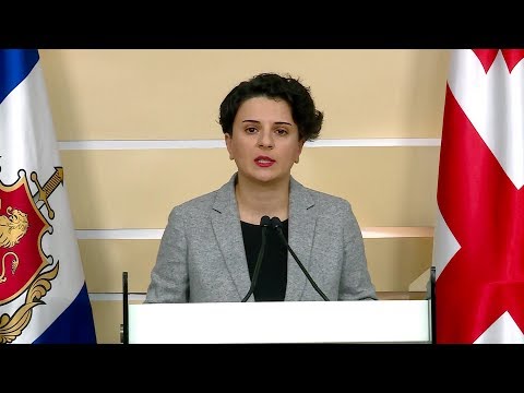 შინაგან საქმეთა მინისტრის მოადგილის - ნათია მეზვრიშვილის ბრიფინგი