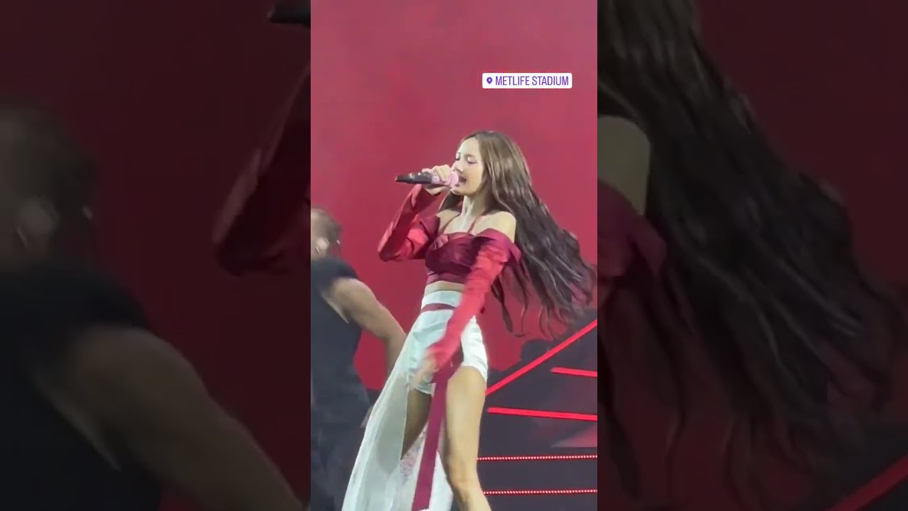 4D Lisa Born Pink World Tour In New Jersey Day 2
