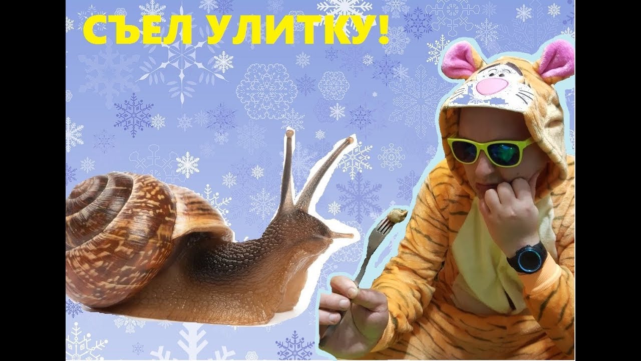 ЕДИМ УЛИТОК!!! КОРЕЙСКАЯ ЕДА!!!! КИМЧИ! РУССКИЙ ПРОТИВ КОРЕЯНКИ ...