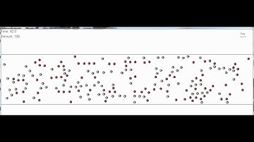 Crowd Simulation - Lane Formation.wmv