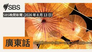 SBS晚間新聞 (2026 年 8 月 13 日) | SBS Cantonese - SBS廣東話節目