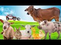 Learn about farm animals cow horse pig duck goat rabbit  animal sounds