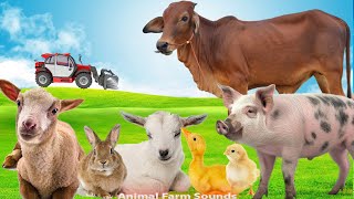 Learn About Farm Animals: Cow, Horse, Pig, Duck, Goat, Rabbit - Animal sounds by Animal Farm Sounds 16,039 views 3 days ago 32 minutes