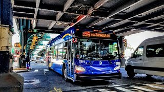 New Flyer Xcelsior XD40 2022 #7891 On The Q56 At Woodhaven Blvd/Jamaica Av