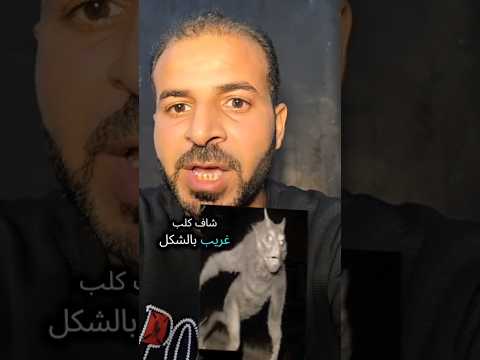 ظهور كائن غريب في القاهرة وما الحقيقة قصص السلعوا كائن غريب اسوان القاهرة الإخبارية اخبار 