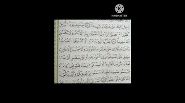 النساء 42-43 برواية قالون