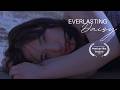 Everlasting Daisy | A Short Film and Poem