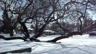 Trevett-Mattis Park