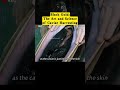 Black Gold: The Art and Science of Caviar Harvesting #fyp... #Shorts #curious.jake