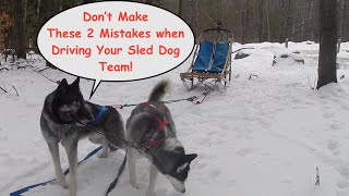 Don't Make These 2 Mistakes When Driving Your Dog Sled Team!:  Muschachusetts Episode #19