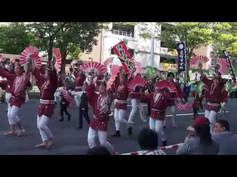 仙台青葉まつり2017