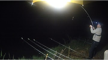 Hành trình săn hàng xuyên ngày đêm và cái kết - Cảnh cá kéo gập cần max phê | 22-8-2022