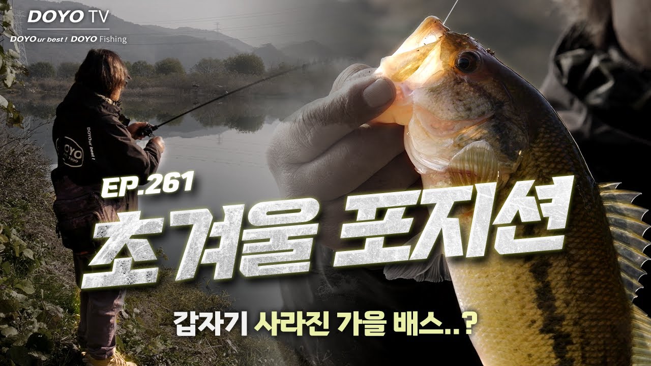 [도요TV ep.261] 가을이 있었는데요, 없어졌습니다.. 벌써 겨울 배스를 준비할 때?!