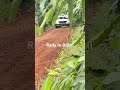 Rally in Brazil Segue e compartilha👊🏼