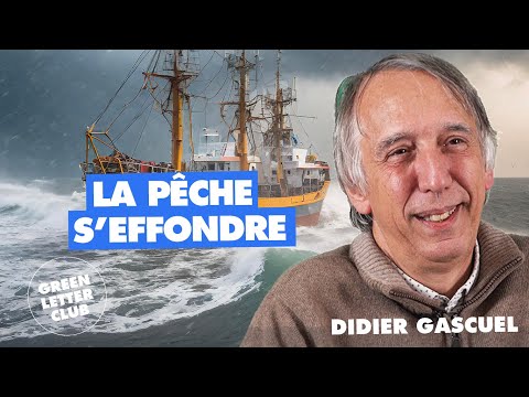 Changement climatique : menace sur la pêche ? Didier Gascuel