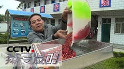 《我爱发明》 农田好帮手 8:根茎粉碎机 摆盘覆土机 茱萸去核机 20190119 | CCTV科教