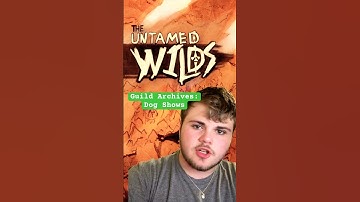 FTGA - Dog Shows #worldbuilding #indiegame #gamedesign #gaming #rpg #gamedevelopment #pokemon #dnd