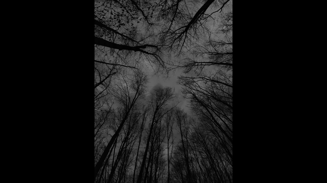 Free $uicideboy$ type beat - ,,skverna''