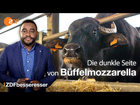 büffelmozzarella:-das-traurige-geheimnis-|-nelson-müller-doku