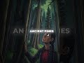 Ancient Giants Still Control Philippine Mountains (Climbing Restrictions Explained)