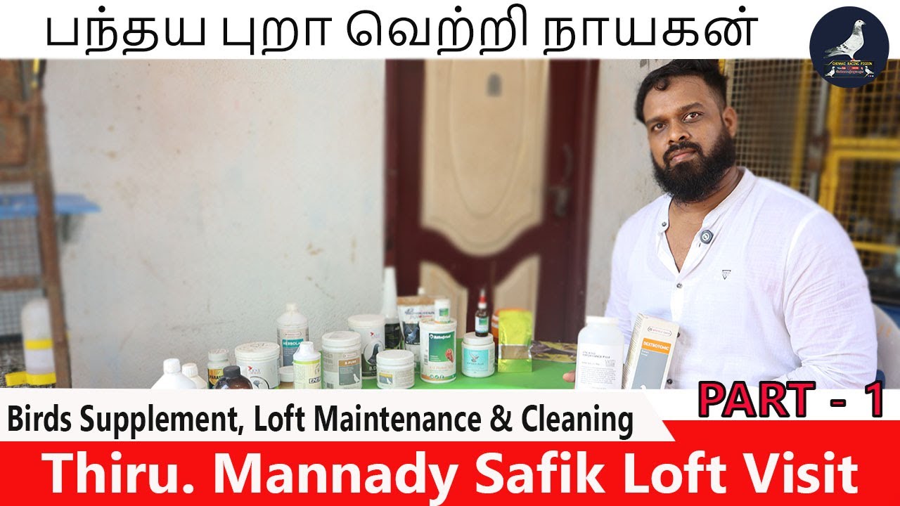 பந்தய புறா நாயகன் | Thiru. Mannady Safik Loft Maintenance, Birds Supplements, Loft Cleaning Part - 1