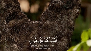 ( وَإِذَا بُشِّرَ أَحَدُهُمْ بِالأنْثَى ظَلَّ وَجْهُهُ مُسْوَدًّا )تلاوه رائعه عبدالرحمن مسعد 🥺💕