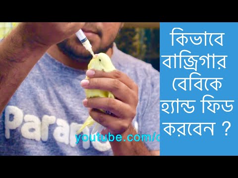 ভিডিও: কীভাবে পাখির দুধ বেক করবেন