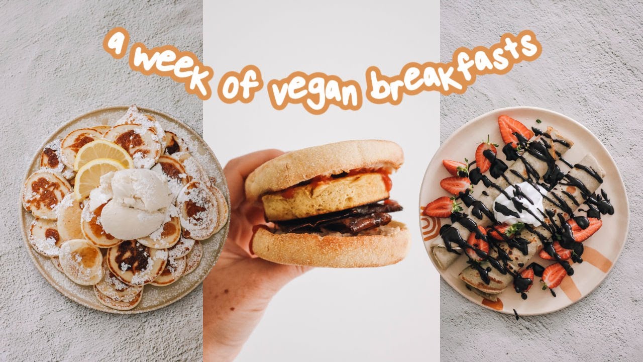 a week of vegan breakfasts easy & delicious recipes 🌱 YouTube