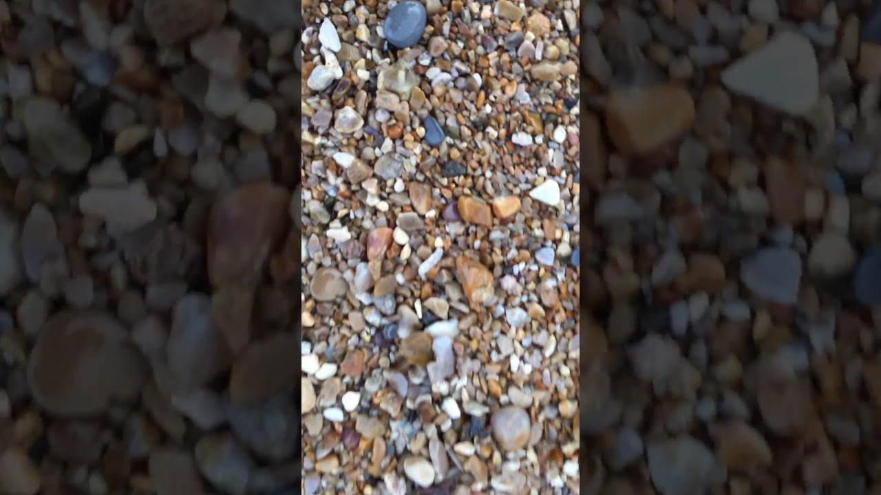 Searching for belemnites