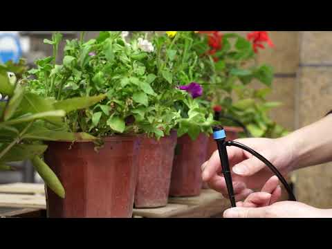 Video: Apūdeņošanas šļūtene: Dārza Apūdeņošanas šļūteņu īpašības, Plakanviļņu Un Citu Modeļu īpašības. Kuru Labāk Izvēlēties Dārzeņu Dārzam?