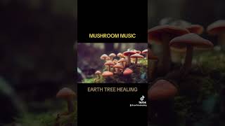 Mushroom Music by Earth Tree Healing