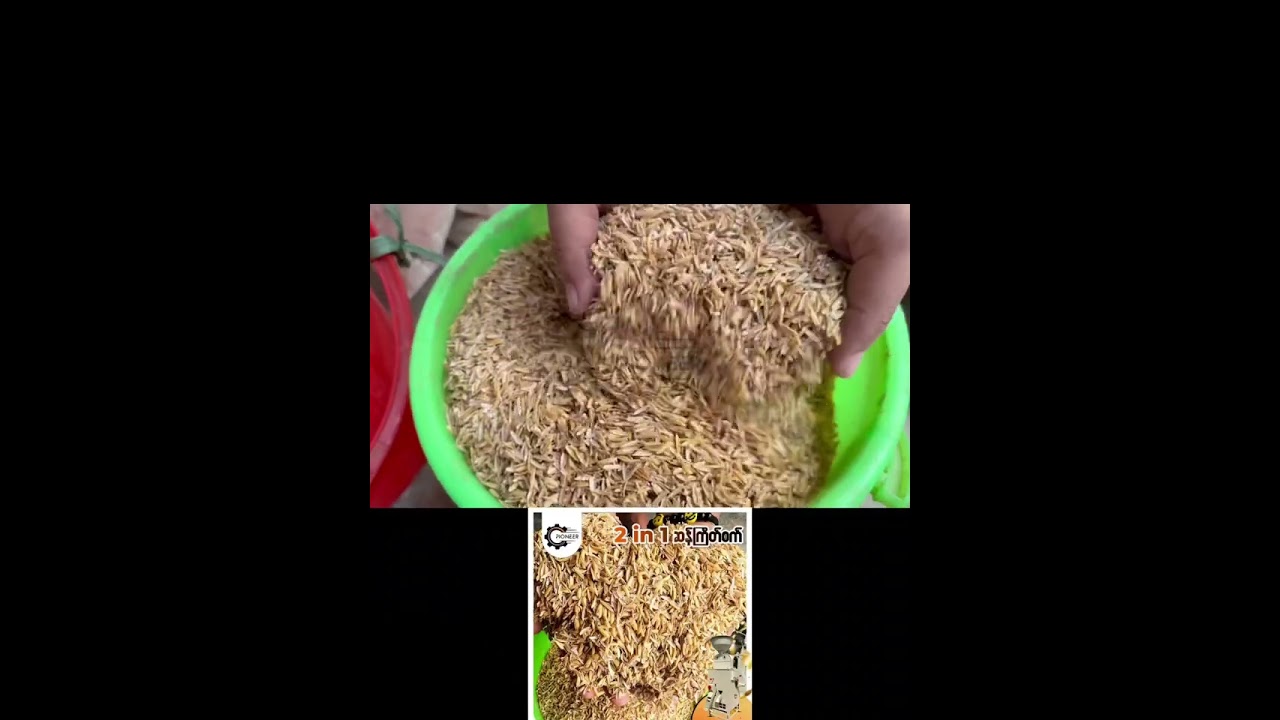 2 in 1 rice mill